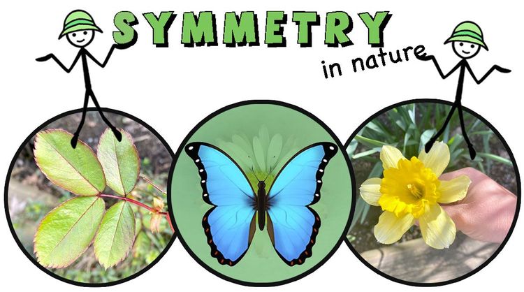 Symmetry in Nature