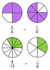 Learning Fractions | Mathcurious